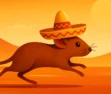 Ligeirinho: O rato mexicano mais veloz que todos conhecemos