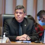 Programa Protetores Mirins contra maus-tratos a animais