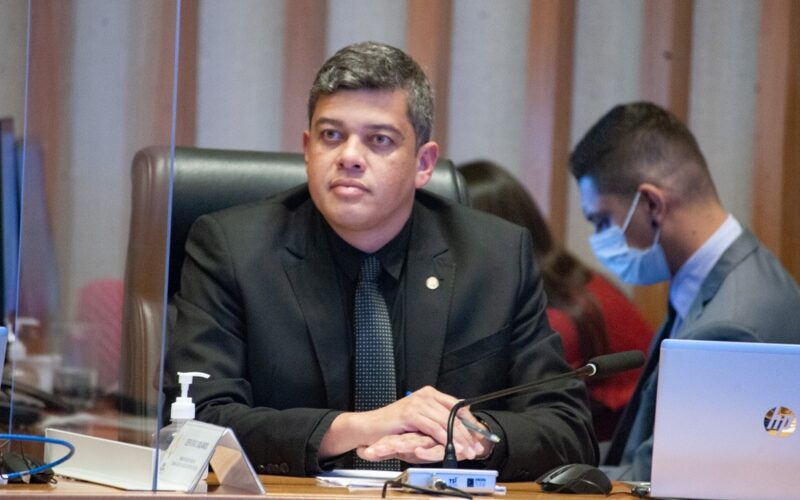 Programa Protetores Mirins contra maus-tratos a animais