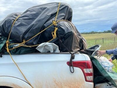 Quatro presos com grude de peixe de R$ 1 milhão no Amapá