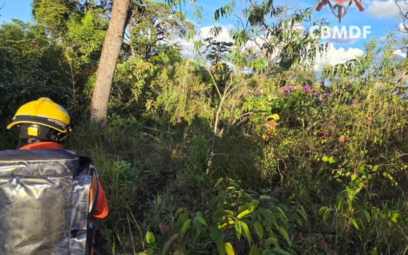 Bombeiros resgatam homem em área rural de Brazlândia